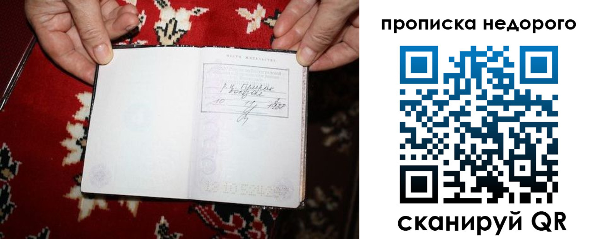 прописка гарантия в Ивантеевке